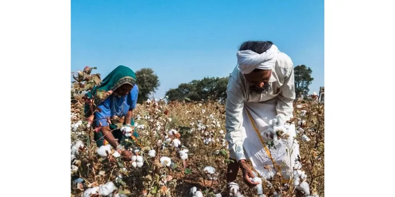 BKS Calls for De-Notification of Bt Cotton Seeds, Opposes Approval of HT Bt Cotton